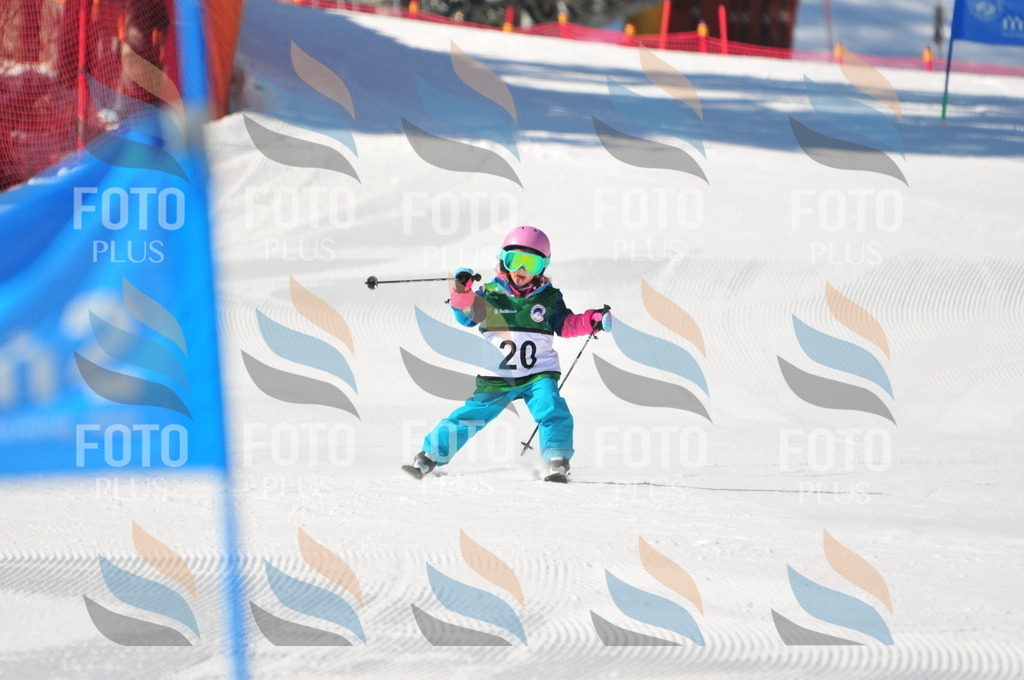 C2509 | holidayphoto