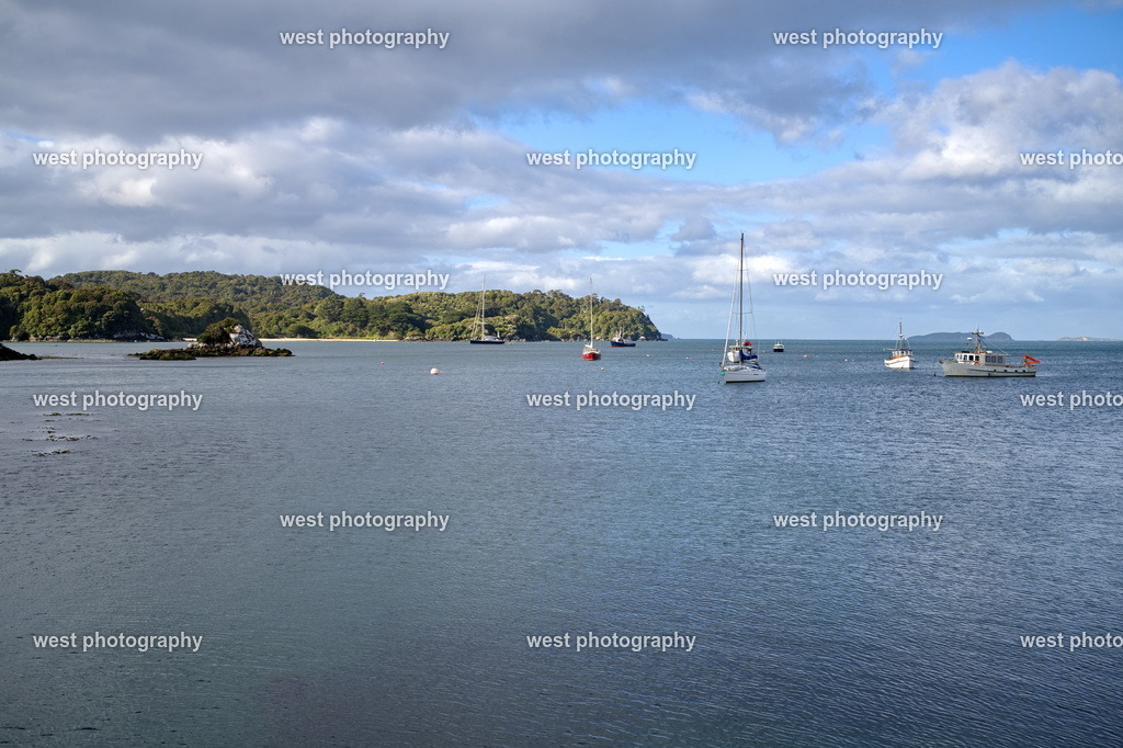 Halfmoon Bay - NZL 2024 | west photography - Realisiert mit Pictrs.com