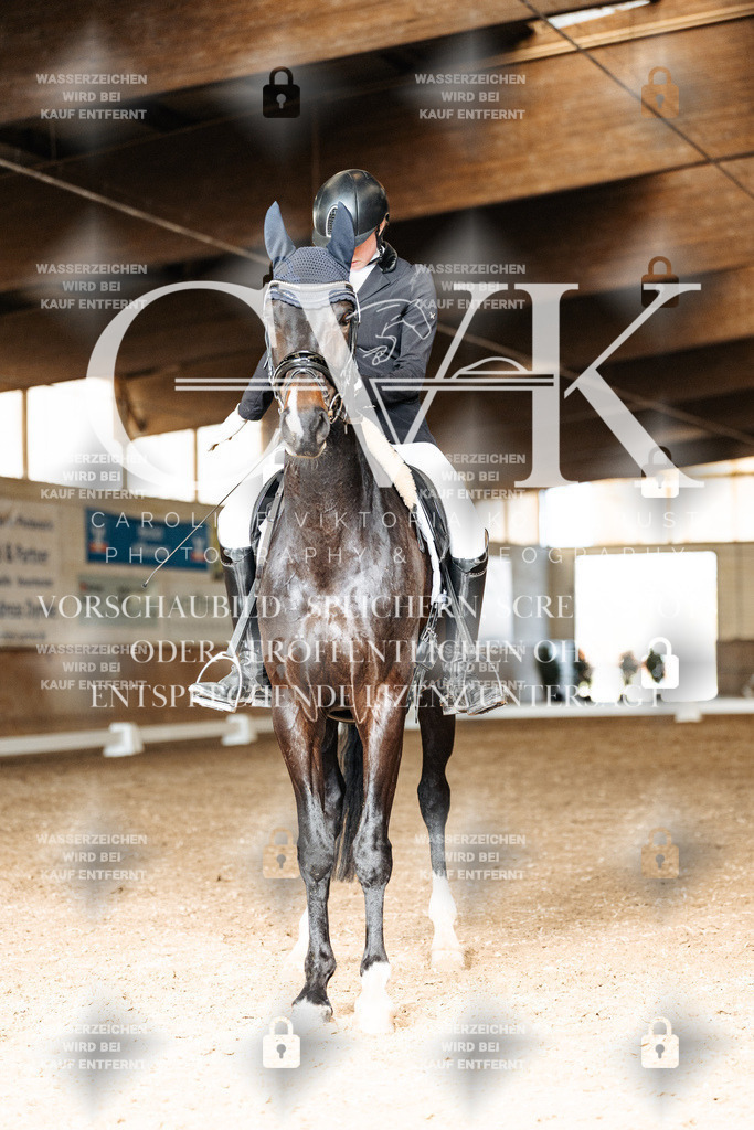 CK901882 | Turnierfotografie Pferdefotografie Trier Rheinland-Pfalz Pferdesport Reitsport Tierfotografie Sportfotografie Pferdevideo Pferdevideografie Equestrianvideography equestrianphotography  - Realisiert mit Pictrs.com