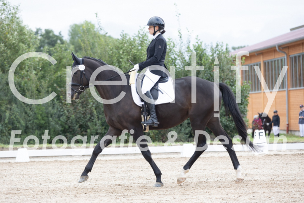 IMG_0431 | Creatify Fotografie