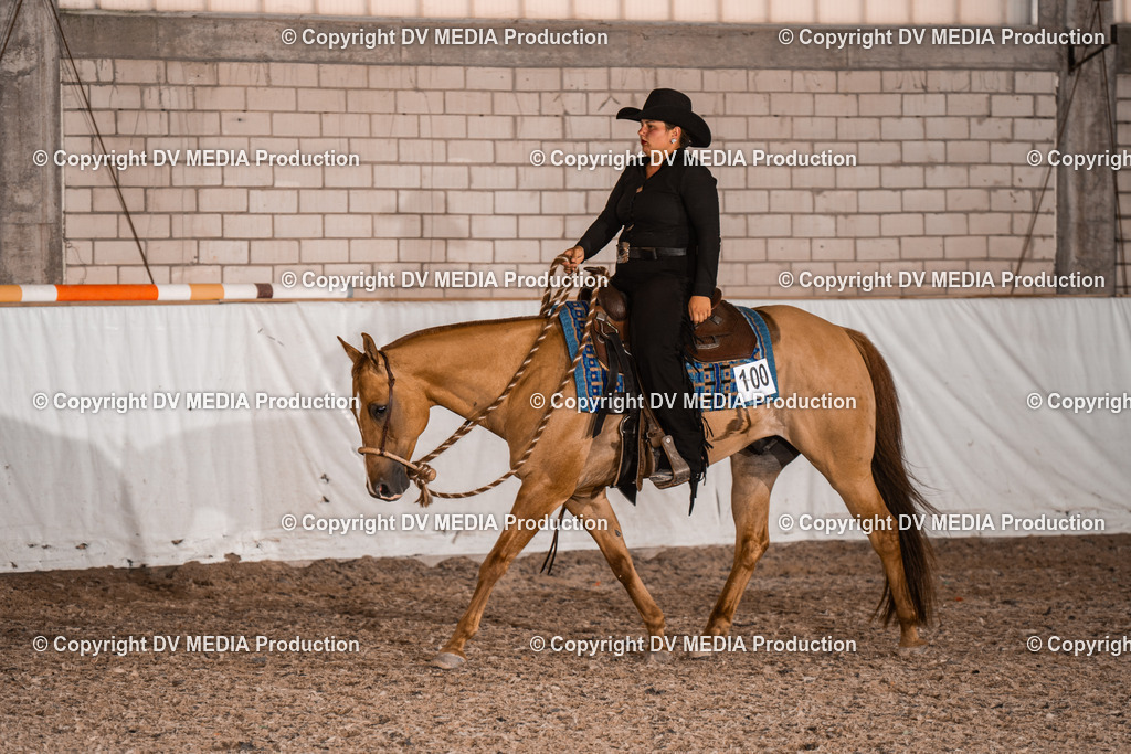 ZH200819 | dv-media-shop - Realisiert mit Pictrs.com