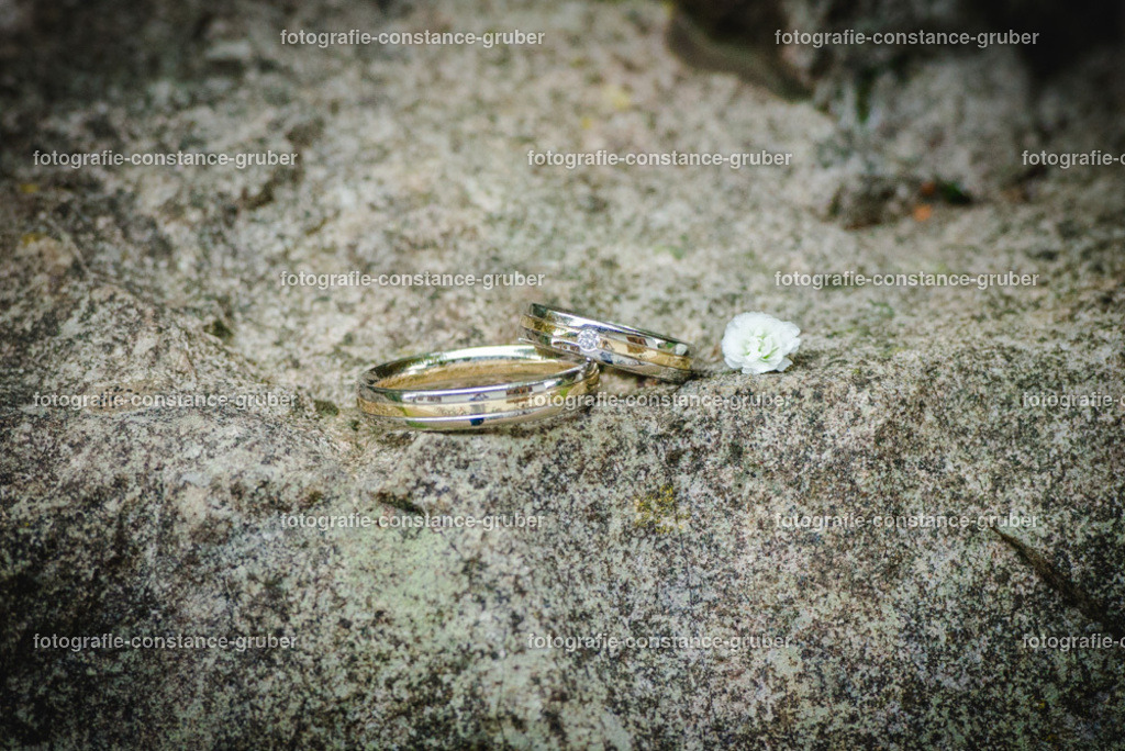 1011 | Fotografie Constance Gruber - Realisiert mit Pictrs.com