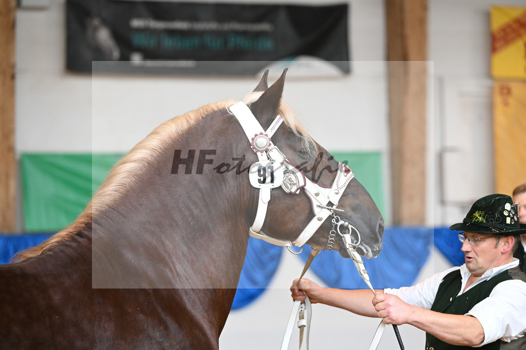 Kat-Nr. 91 Daimler S_Schelle_53220551 | hf-fotografie - Realisiert mit Pictrs.com