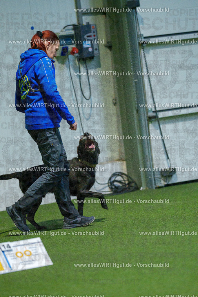 7R502491 | Professionelle Tierfotografie in Mönchengladbach von Daniel Wirth (allesWIRTHgut). Liebevolle & natürliche Bilder von Hunden & Katzen für unvergessliche Erinnerungen.