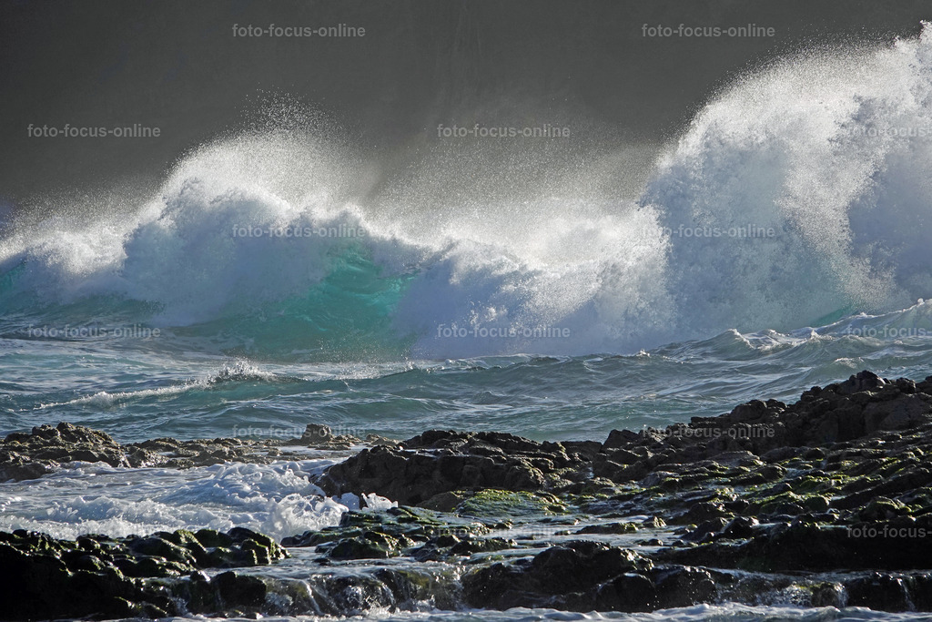 waves | Elemental power of the waves