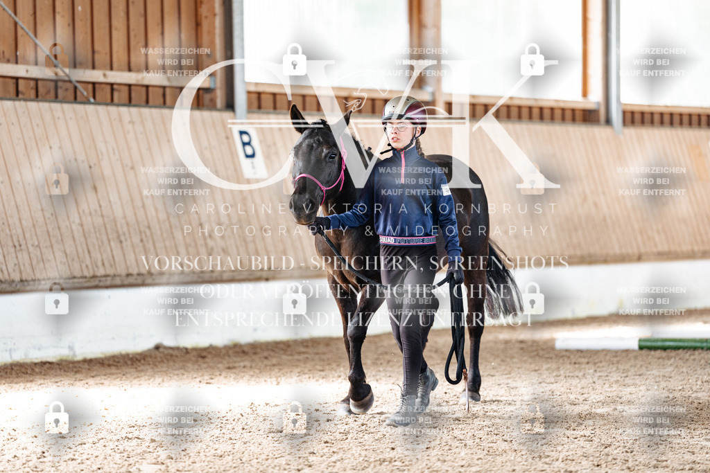 CK906011 | Turnierfotografie Pferdefotografie Trier Rheinland-Pfalz Pferdesport Reitsport Tierfotografie Sportfotografie Pferdevideo Pferdevideografie Equestrianvideography equestrianphotography  - Realisiert mit Pictrs.com
