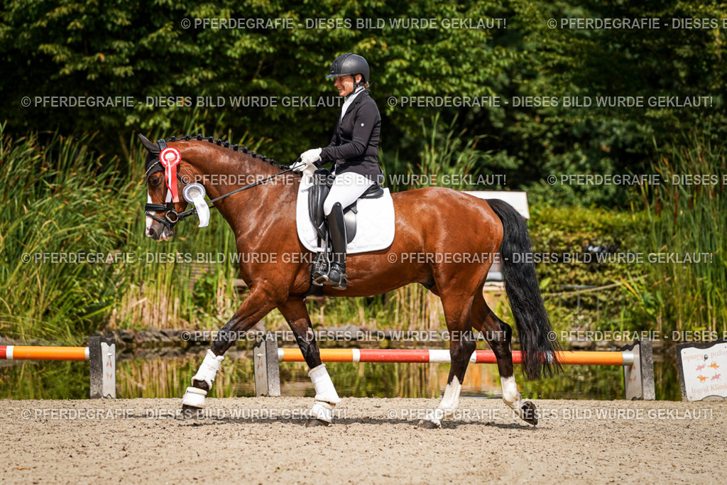 DSC09807 | Pferdegrafie