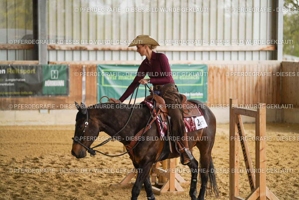 DSC03684 | Pferdegrafie