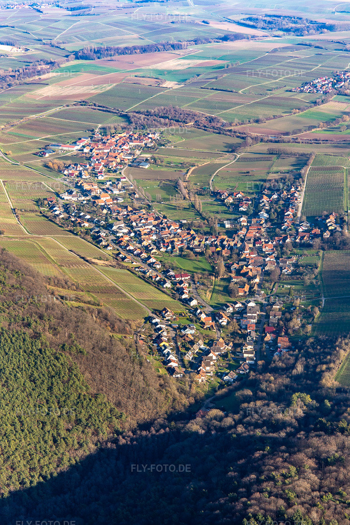 Luftbild: Ortschaft am Haardtrand von Südwesten im Ortsteil Pleisweiler in Pleisweiler-Oberhofen im Bundesland Rheinland-Pfalz in Deutschland. Foto: IMG_145031.jpg vom 27.12.2024 durch Werner Riehm/FLY-FOTO.de