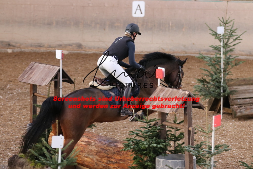 IMG_9725 | lmwpictures - Realisiert mit Pictrs.com