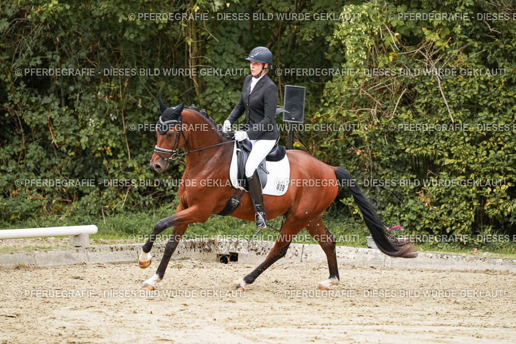 DSC09784 | Pferdegrafie