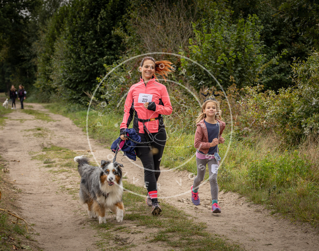 Pfotenfotografie_DV3A7718 | Hundefotografie, Tierfotograf, Pfotenfotografie, Fotoshooting Hund, Hunde Portrait, Hundesport, Hundeportraits, Heideshooting, Hunde, Sportfotograf, Hundefotograf, Turnierhundsport, THS,  - Realisiert mit Pictrs.com