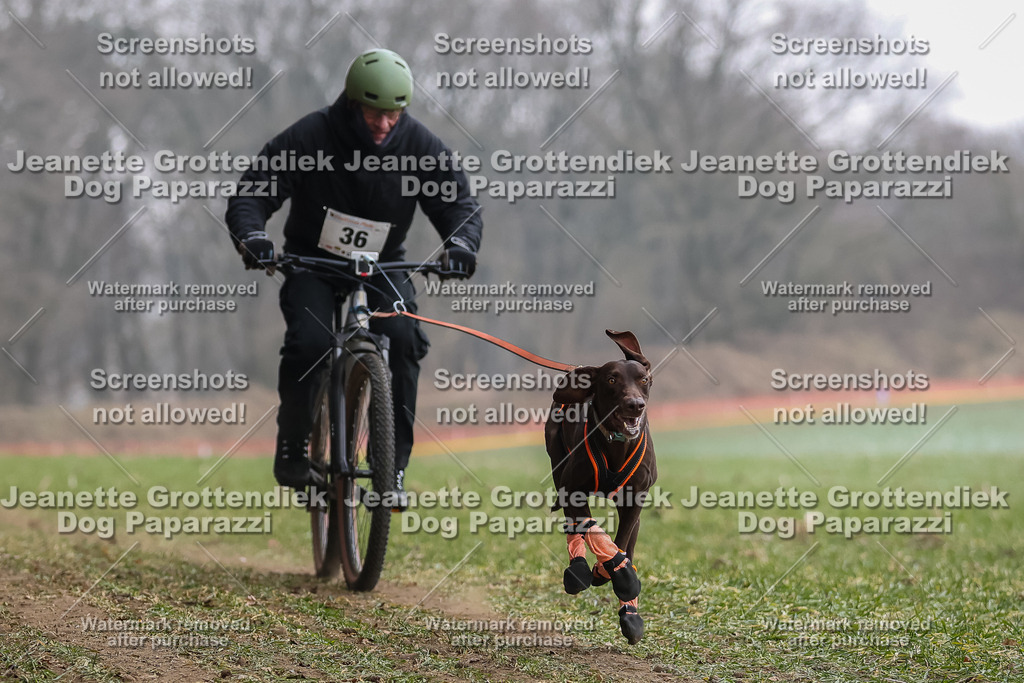 Dog Paparazzi - Plate 2026-119 | Dog Paparazzi Jeanette Grottendiek Fotografie & Videografie - Realisiert mit Pictrs.com