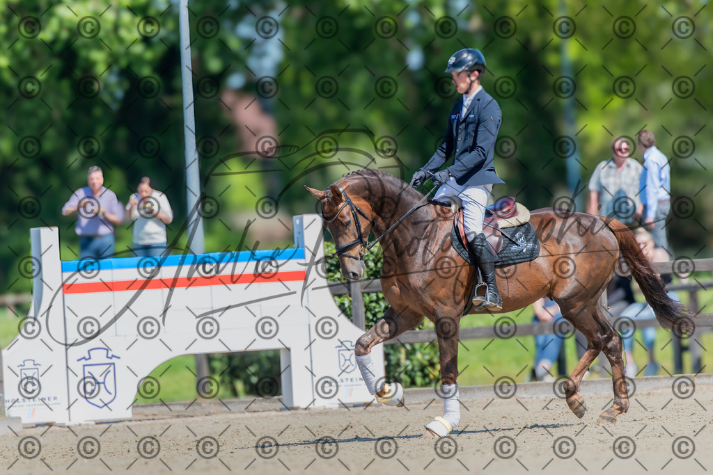 KPT_0740 | andre_photographic