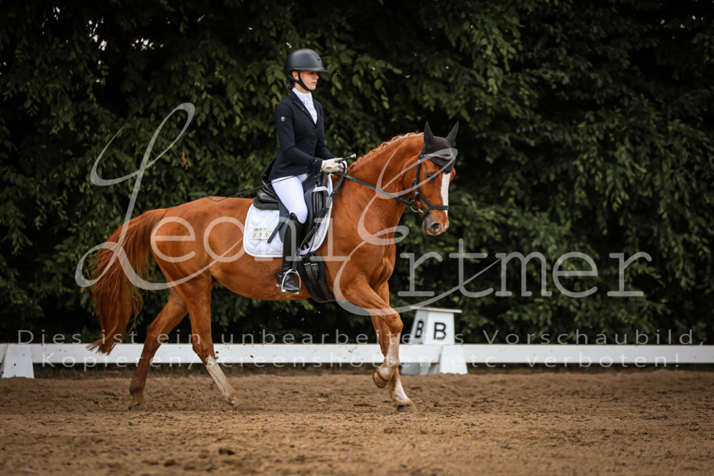 10.FrDrL00452 | Leoni Ertmer Photography - Realisiert mit Pictrs.com