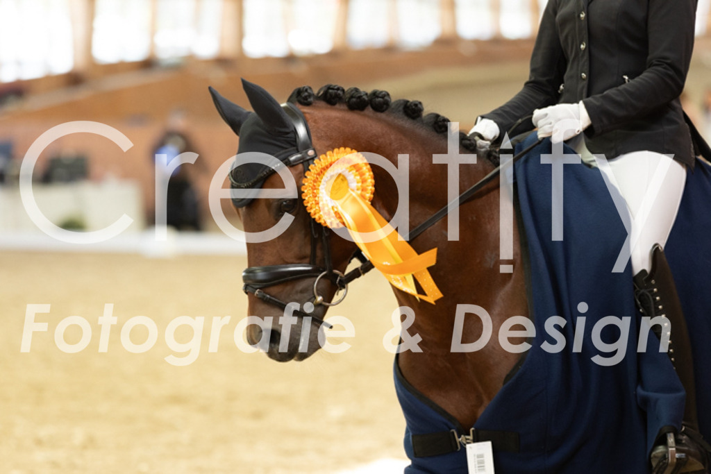 IMG_6359 | Creatify Fotografie