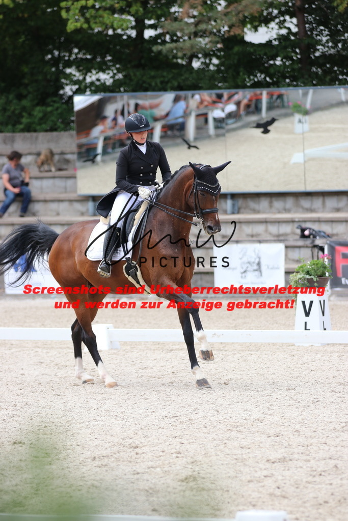 IMG_1743 | lmwpictures - Realisiert mit Pictrs.com