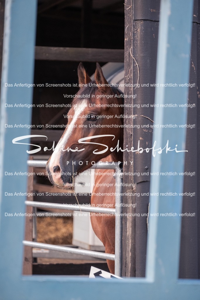 2025_05_31_DSCF2311 | People- und Tierfotografie, Imageaufnahmen, Veranstaltungsfotografie und Wandbilder aus der Natur ★ Made in Germany ✔️ Druck + Downloads ✔️ Naturfotografie in Top Qualität ★ schneller Versand, weltweite Lieferung! - Realisiert mit Pictrs.com