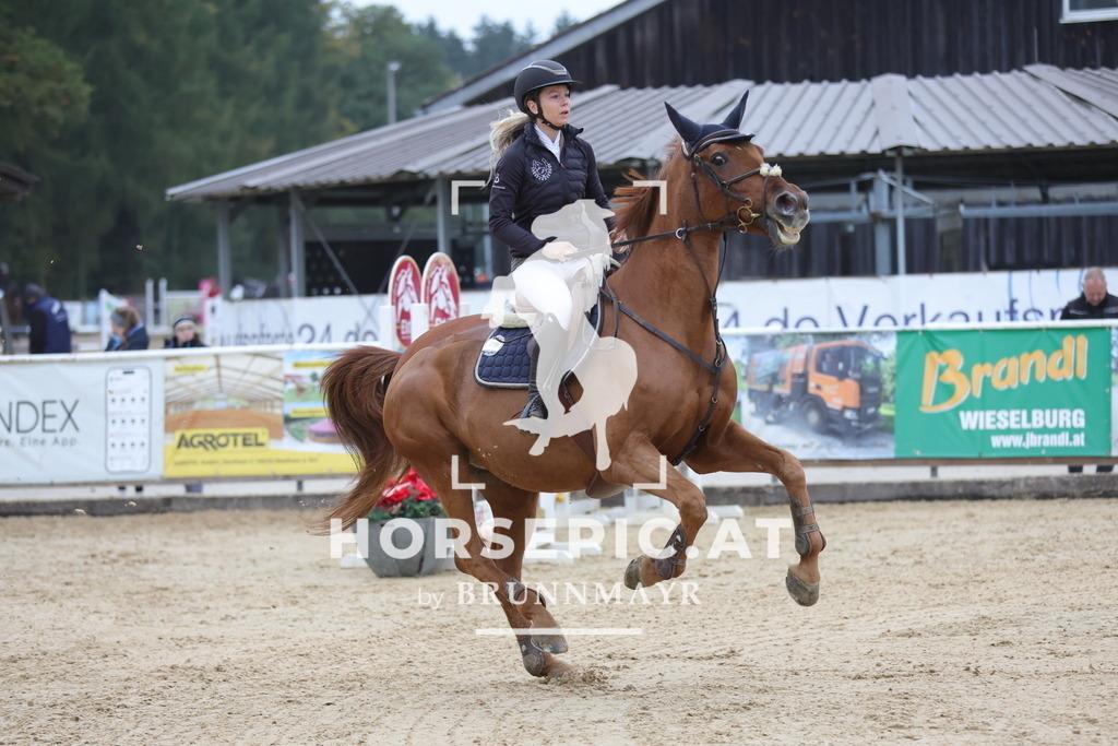 0P6A6200 | Willkommen bei Brunnmayr - Design & Fotografie – Ihrem Spezialisten für Reitturniere und Pferdeveranstaltungen in Oberösterreich, Salzburg und Bayern! Seit über 17 Jahren sind wir leidenschaftlich dabei.