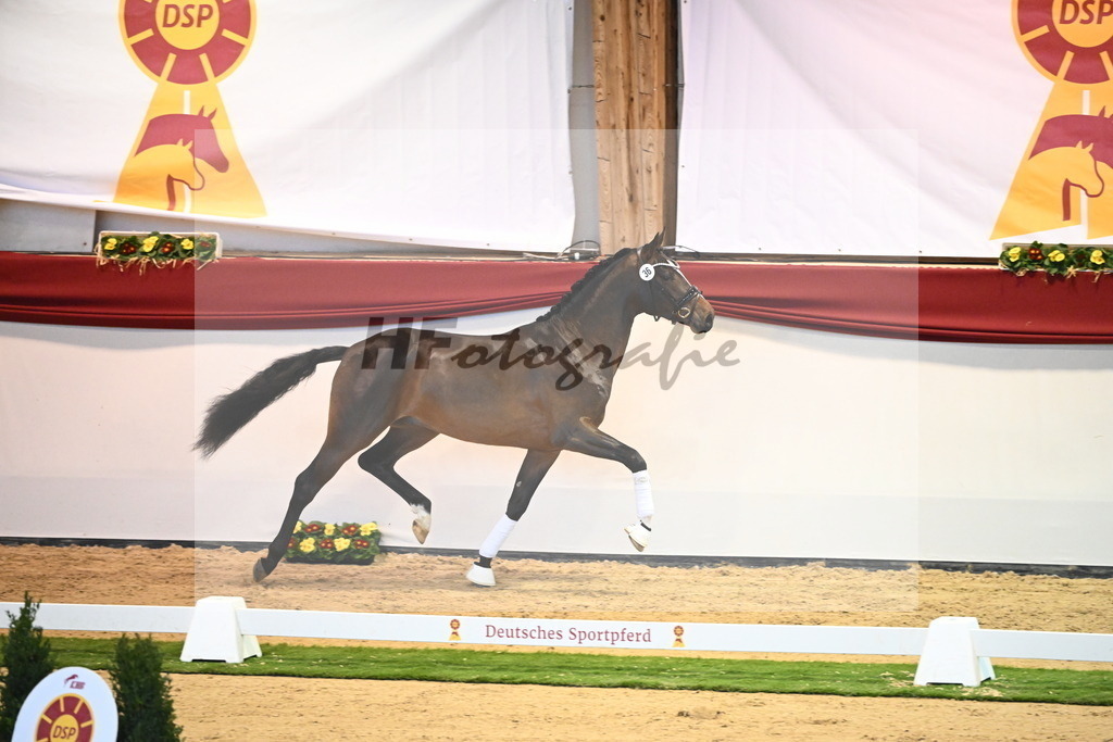Kat.-Nr. 36 v. Bon Vivaldi_Kornes_2240375 | hf-fotografie - Realisiert mit Pictrs.com