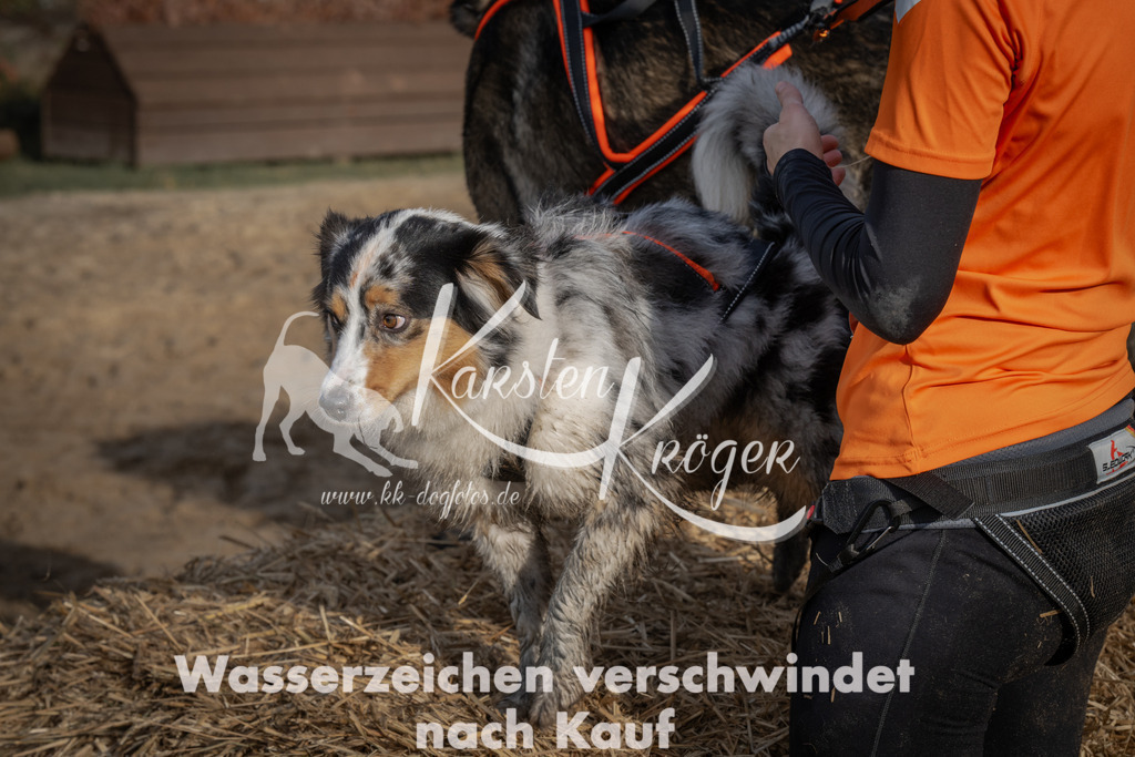 1032_ZZ98569 | kk-dogfotos