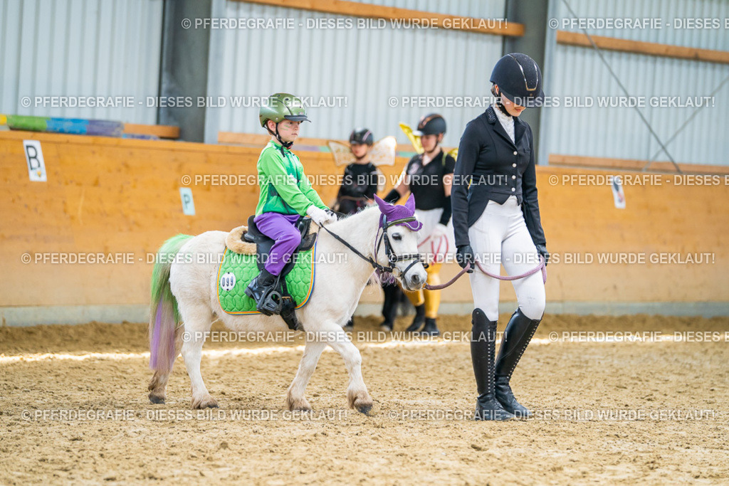 DSC09841 | Pferdegrafie