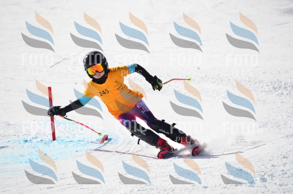 C8408 | holidayphoto