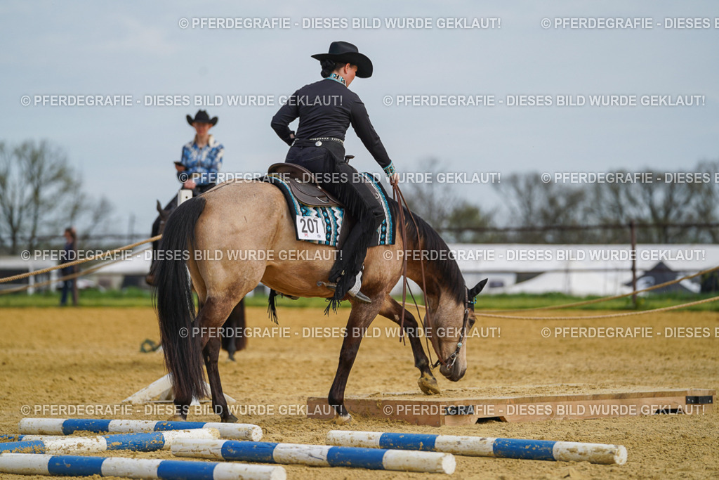 DSC03792 | Pferdegrafie