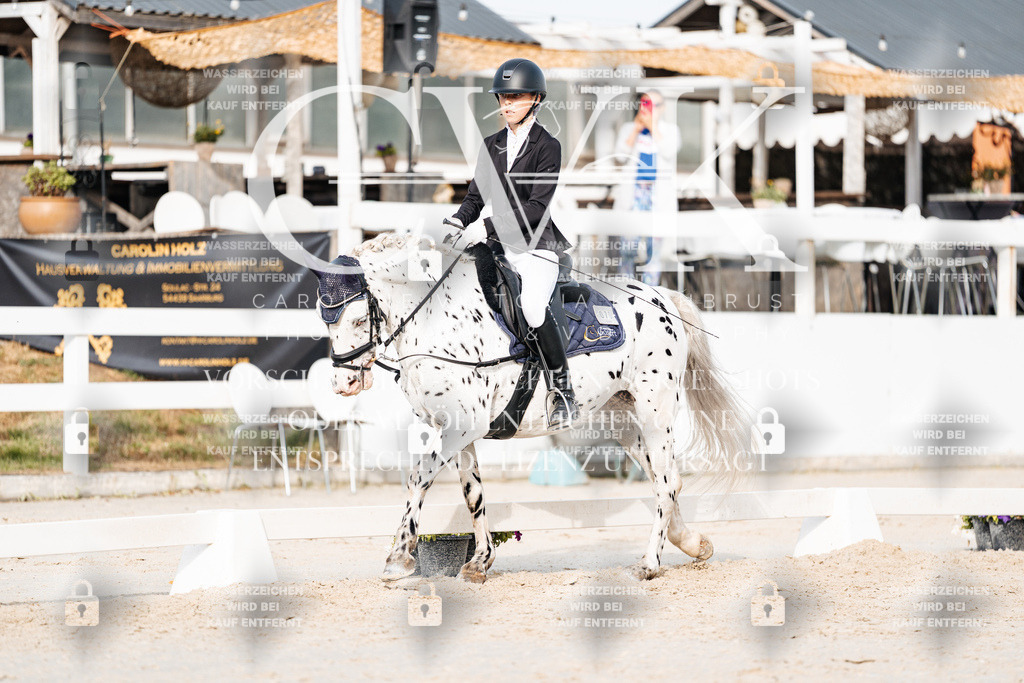 CK904429 | Turnierfotografie Pferdefotografie Trier Rheinland-Pfalz Pferdesport Reitsport Tierfotografie Sportfotografie Pferdevideo Pferdevideografie Equestrianvideography equestrianphotography  - Realisiert mit Pictrs.com