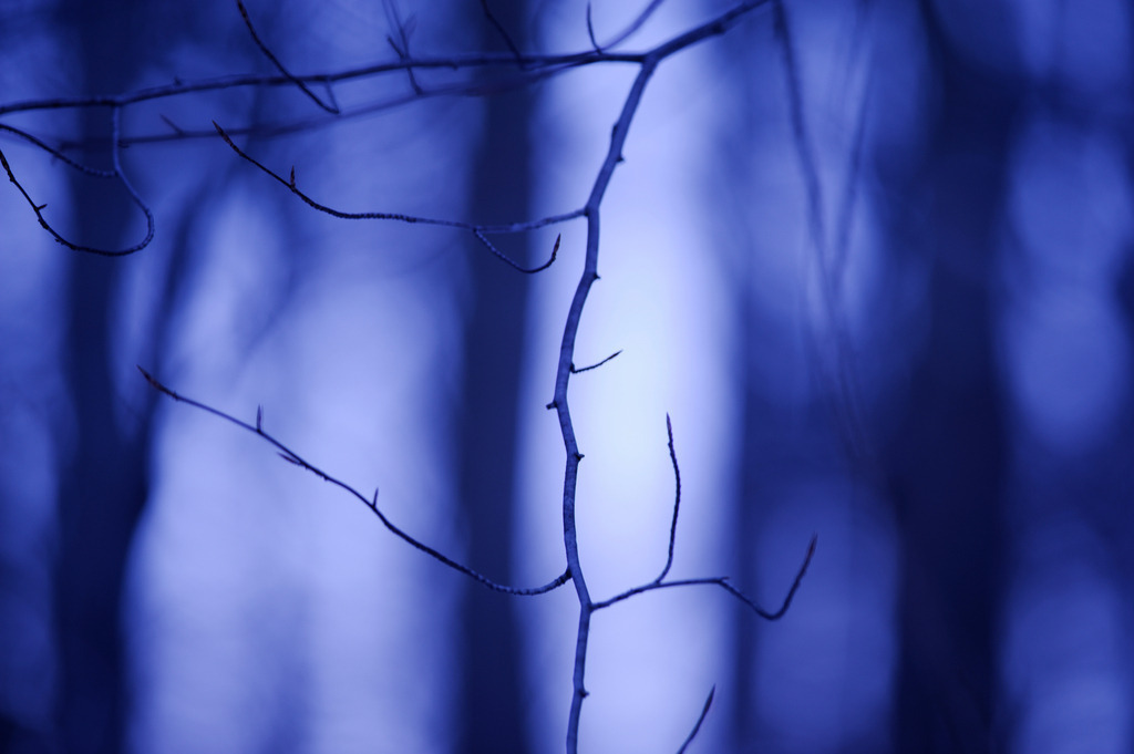 blaue Stunde | Wien, Austria - December 16, 2010: blaue Stunde. - Realisiert mit Pictrs.com