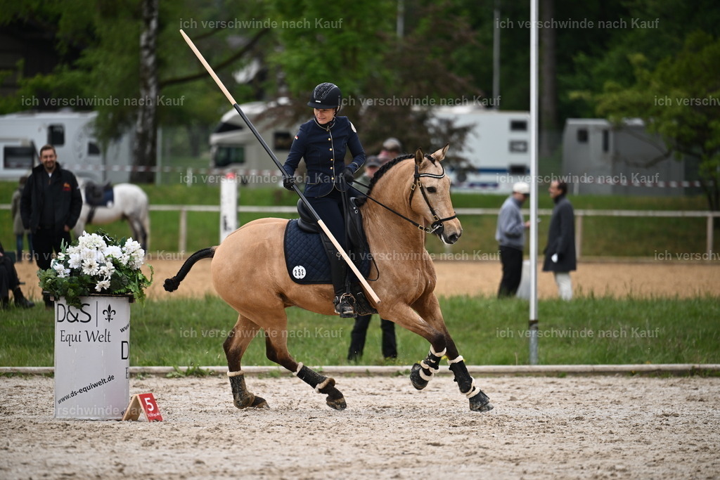 PI26_SP_Sara_Landvogt_226_4821.JPG | working equitationturnier fotograf videograf stoibphotography marixx film working equitation deutschland reitsport turnierfotografie eventfotografie equestrian events
