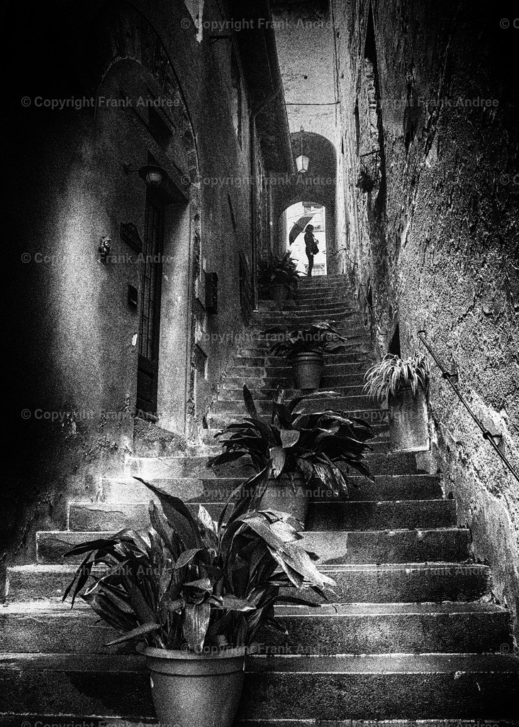 Barga | Am Ende einer steilen engen Treppe mit großen Pflanzkübeln in der bezaubernden Altstadt von Barga steht eine Frau mit Regenschirm. Straßenfotografie aus der Toskana in schwarz weiß - Realisiert mit Pictrs.com