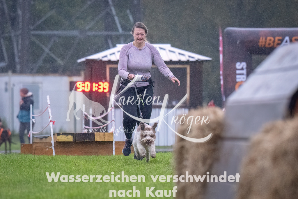 0903-_ZZ92973-Bearbeitet | kk-dogfotos