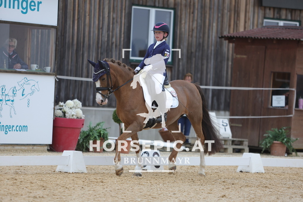 0P6A4636 | Willkommen bei Brunnmayr - Design & Fotografie – Ihrem Spezialisten für Reitturniere und Pferdeveranstaltungen in Oberösterreich, Salzburg und Bayern! Seit über 17 Jahren sind wir leidenschaftlich dabei.