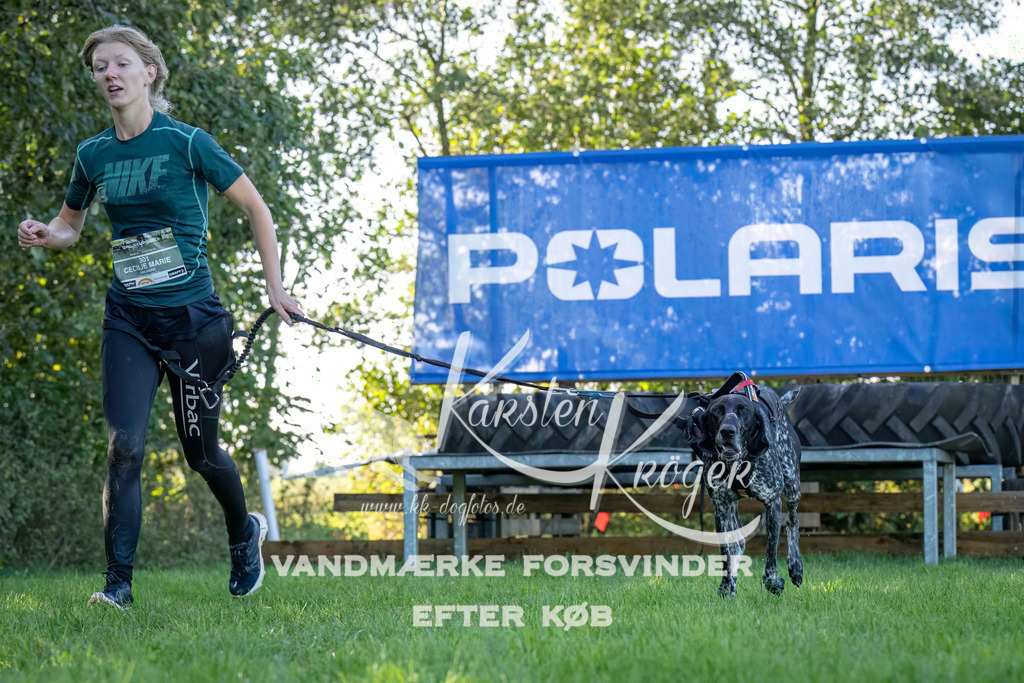 1031--13 | kk-dogfotos