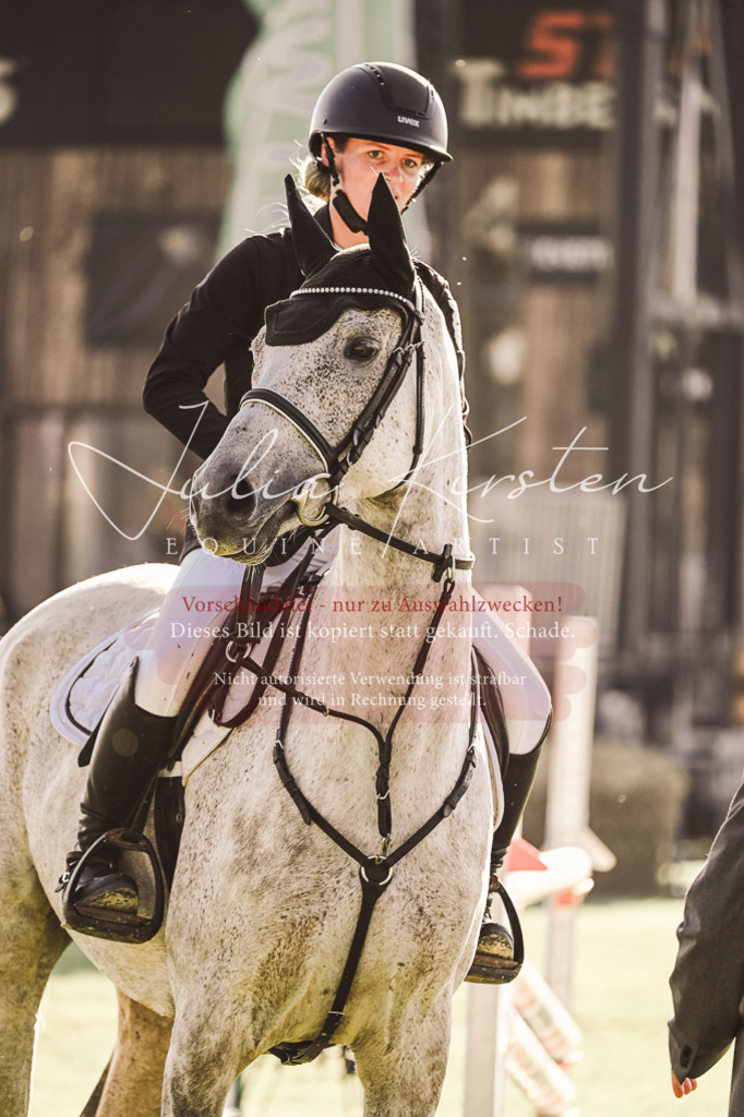 DSC_4597 | Pferde- und Turnierfotografie in Westsachsen. Pferdeportraits, Auftragszeichnungen und intuitive Kunst.