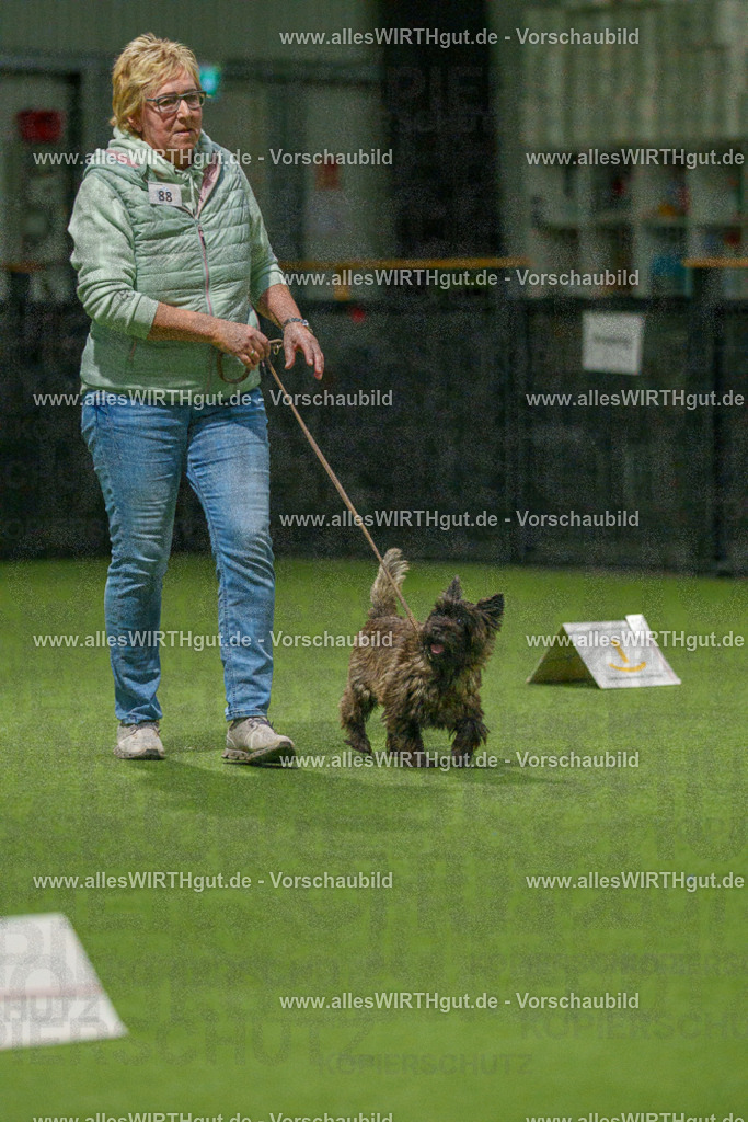 7R508556 | Professionelle Tierfotografie in Mönchengladbach von Daniel Wirth (allesWIRTHgut). Liebevolle & natürliche Bilder von Hunden & Katzen für unvergessliche Erinnerungen.