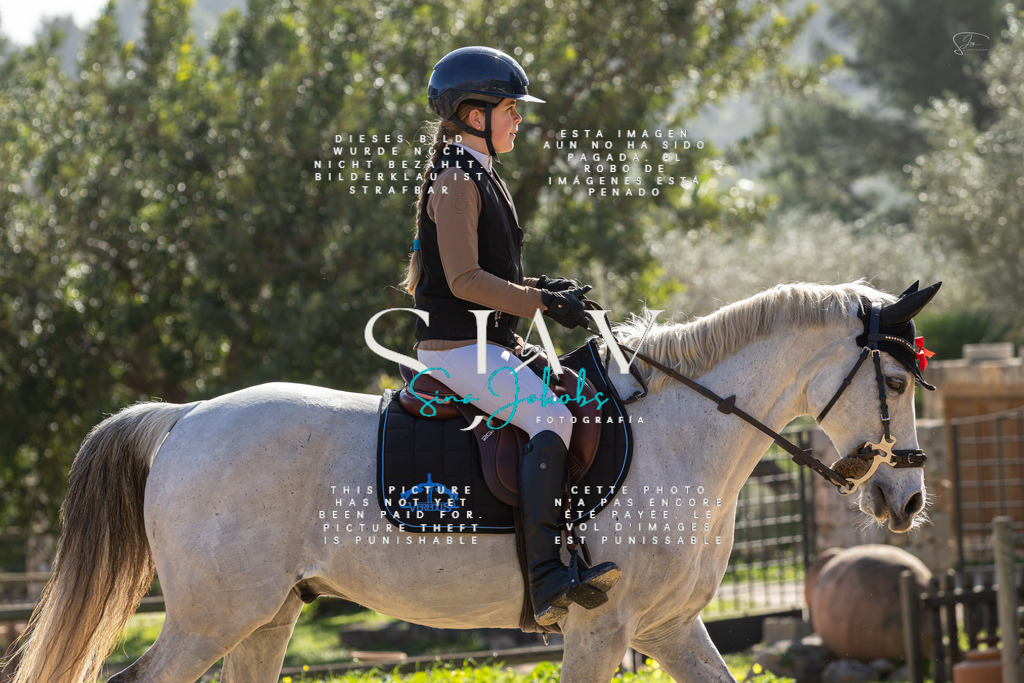 IMG_5928 | s-jay-photography - Realisiert mit Pictrs.com