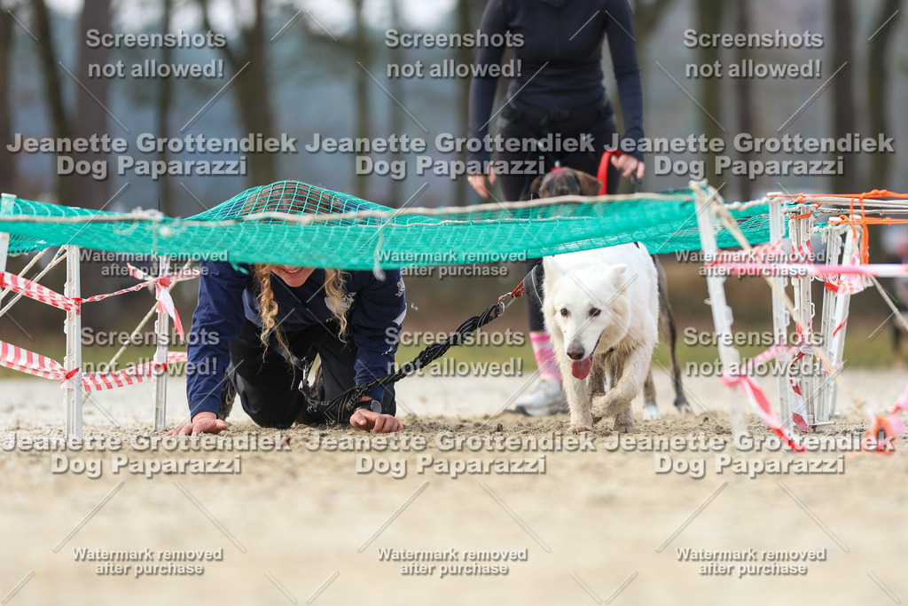 Dog Paparazzi - Strongdog North Mrz26-4282 | Dog Paparazzi Jeanette Grottendiek Fotografie & Videografie - Realisiert mit Pictrs.com