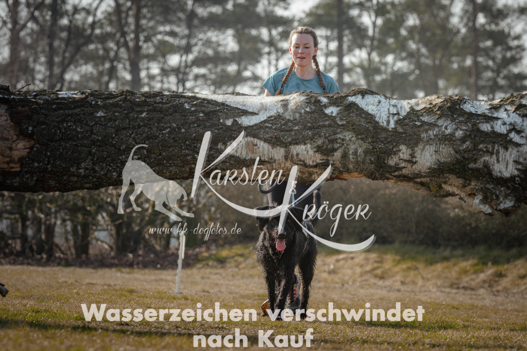 1017_ZZ92303 | kk-dogfotos