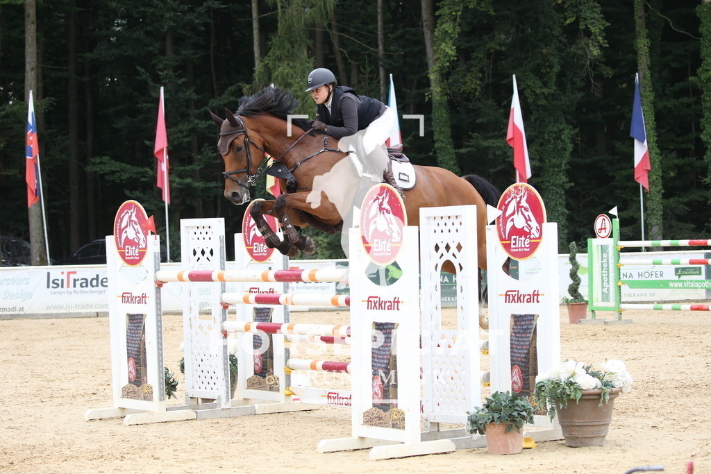 DL2Q7873 | Willkommen bei Brunnmayr - Design & Fotografie – Ihrem Spezialisten für Reitturniere und Pferdeveranstaltungen in Oberösterreich, Salzburg und Bayern! Seit über 17 Jahren sind wir leidenschaftlich dabei.