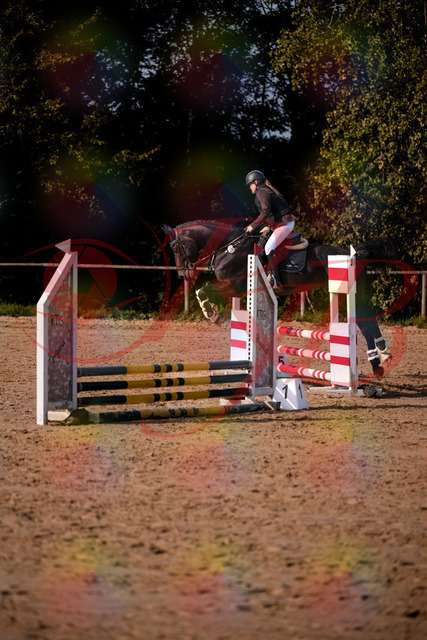 2026_10_03_Siefer-Hof_154341_Z81_61810247 | Professionelle Reitsport-, Turnier- und Eventfotografie von Robert Broda. Galerien mit ausgewählten und bearbeiteten Bildern direkt online ansehen und bestellen.