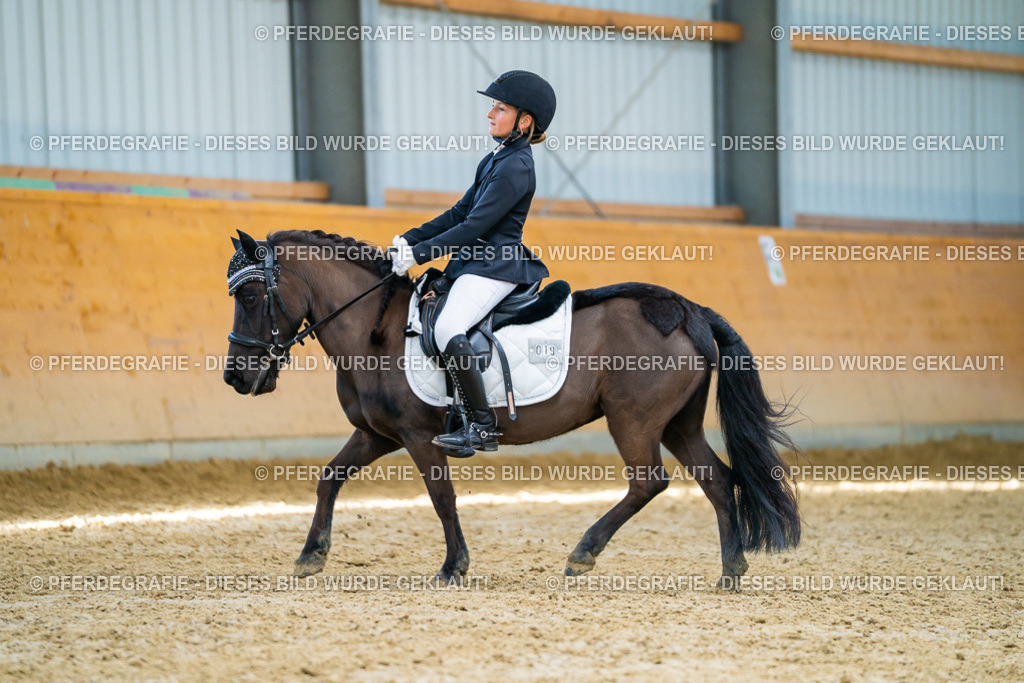 DSC09160 | Pferdegrafie