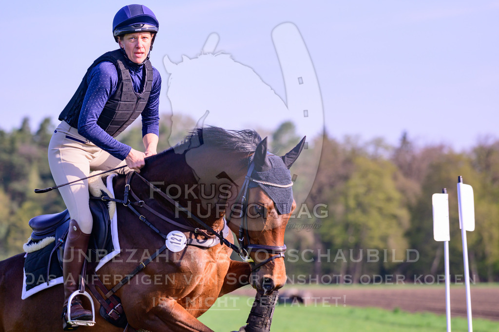 18042026-Gernlinden-02-0408 | Fokus Hufschlag Fotografie - Realisiert mit Pictrs.com