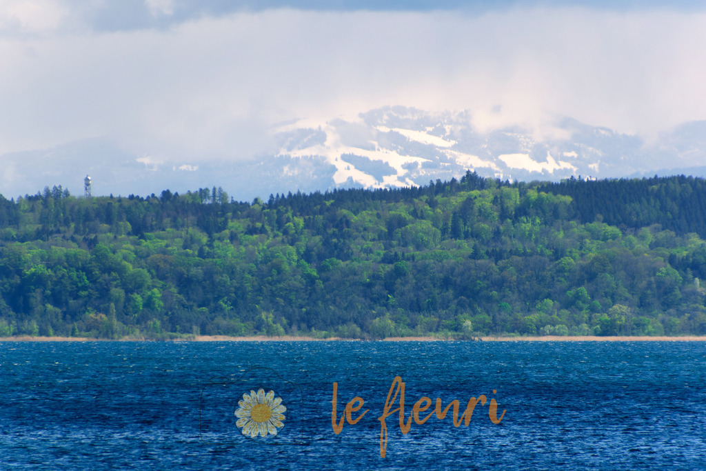 DSC_0137-NEF_DxO_DeepPRIME (1) | Dies ist der Shop von Florian Blum - le fleuri. Langenthal, Bern, SchweizSie können hier meine oder ihre eigenen Fotos als Fotoprodukte kaufen. Tassen, Schlüsselanhänger, Taschen etc. können Sie hier gestalten.  - Realisiert mit Pictrs.com