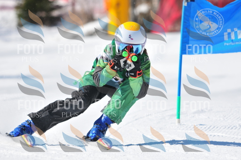 C3230 | holidayphoto