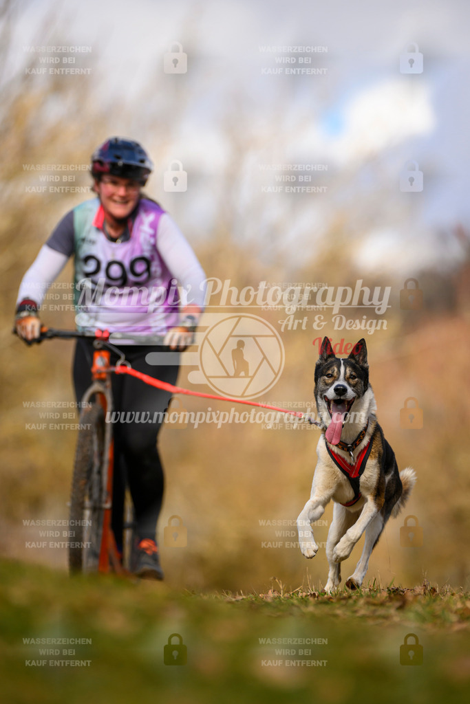 MompixPhotography_10Schwabentrail2026_SO_Scooter-144 | PayLife