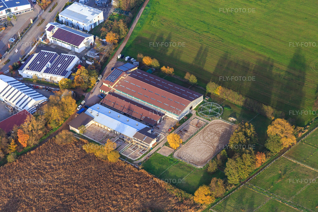 Luftbild: Pferdetrainer Oliver Wehnes im Ortsteil Minderslachen in Kandel im Bundesland Rheinland-Pfalz in Deutschland. – Foto: IMG_085202.jpg vom 08.11.2015 durch Werner Riehm/FLY-FOTO.de – Auflösung des Originals: 5472 x 3648 px – Wehnes Traingstable