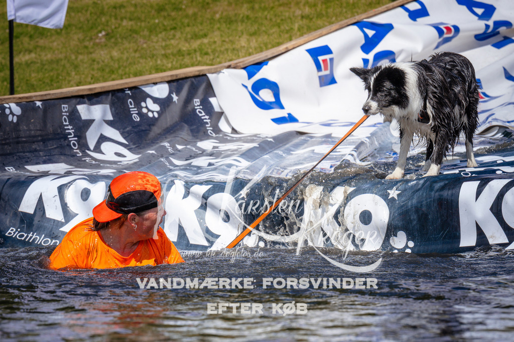 _ZZ955791009 | kk-dogfotos