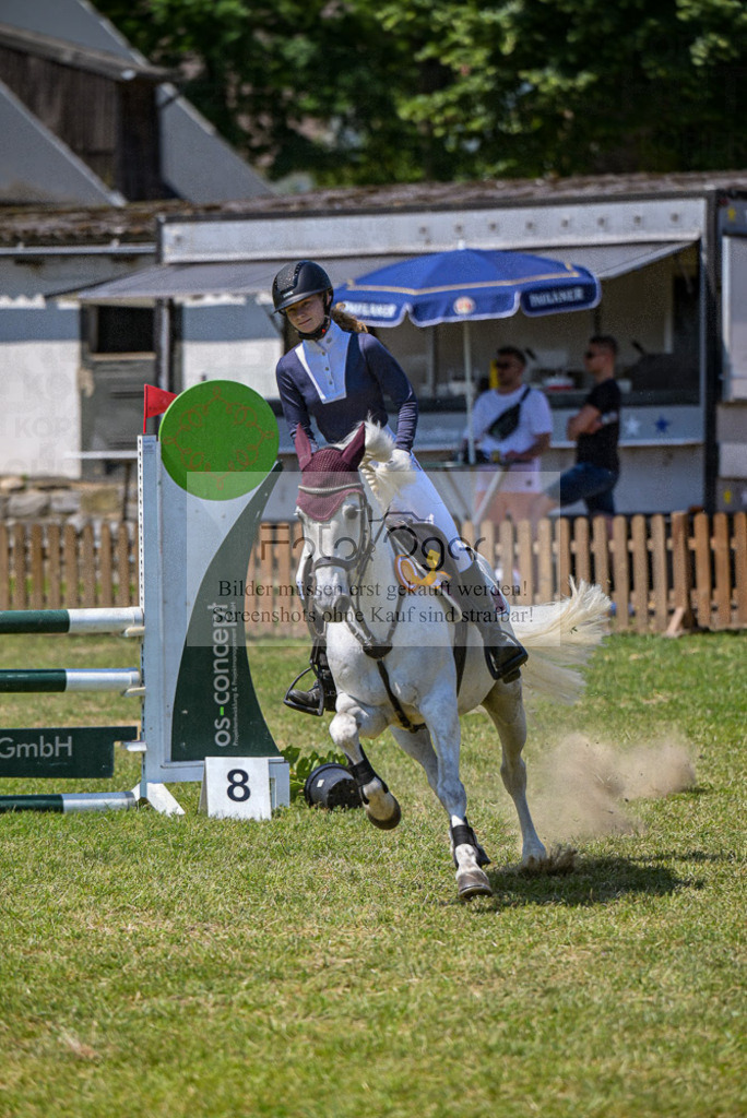 Reitturnier Voxtrup | Entdecke hochwertige Reitturnierfotos von Foto Oger. Professionell, emotional und authentisch – jetzt Lieblingsmomente im Shop bestellen.Deutschlandweite Turnierfotografie. - Realisiert mit Pictrs.com
